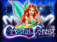 Crystal Forest