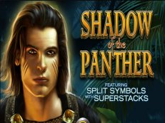 Shadow of the Panther